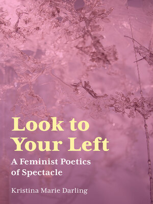 cover image of Look to Your Left